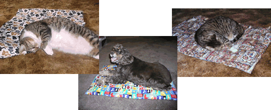 Dog & Cat Pet Blankets