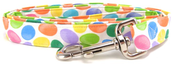 Colorful Easter Eggs on White Dog Leash