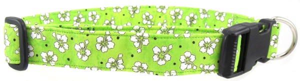 Green Hawaiian Flowers Dog Collar