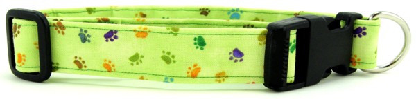 Green Rainbow Paws Dog Collar