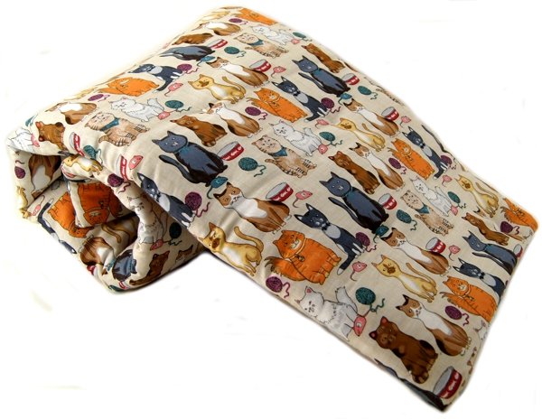 Sly Cat Pet Blanket