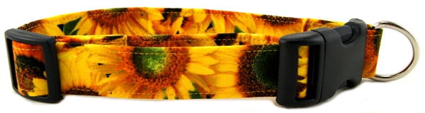 Sunny Sunflowers Dog Collar
