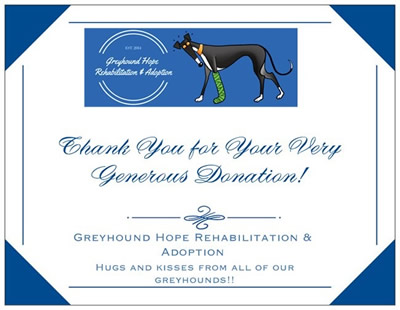Greyhound Hope Rehabilitation and Adoption